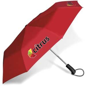 Whimsical Auto-Open Compact Umbrella – RED
