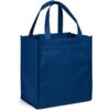 BAG NOLOGO X
