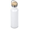 Kooshty Tugela Recycled Aluminium Water Bottle - 750ml - Image 42